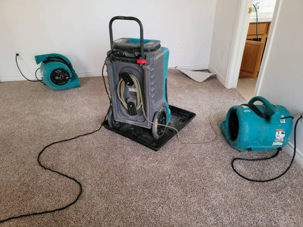 Best Local water damage restoration  in Farngton, MI