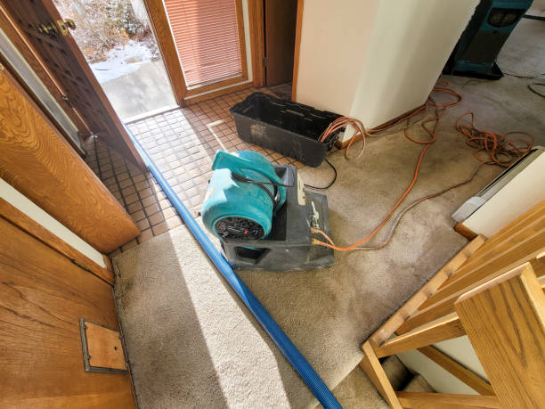 Best Water damage contractors near me  in Farngton, MI