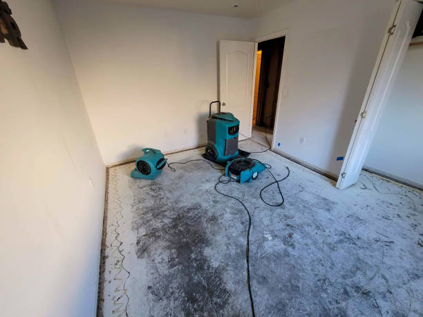 Best Basement water damage restoration  in Farngton, MI