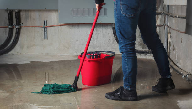 Best Flooded house restoration  in Farngton, MI