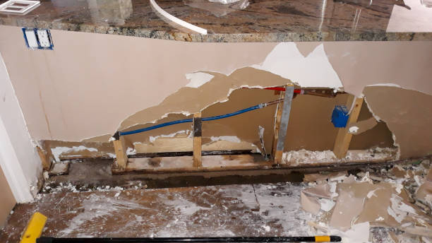 Best Flooded house restoration  in Farngton, MI
