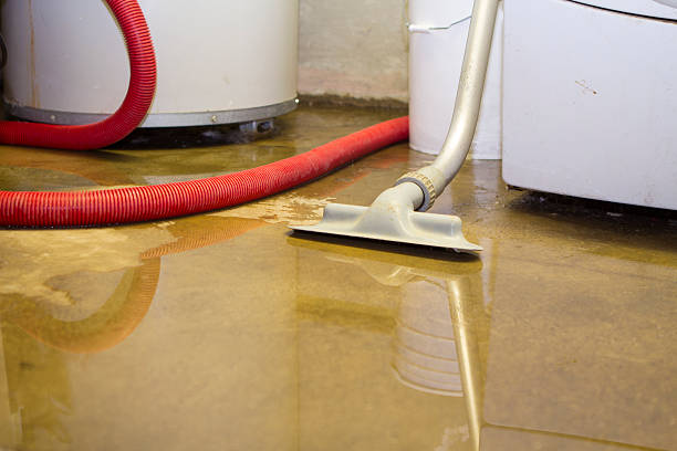 Best Water damage restoration near me  in Farngton, MI
