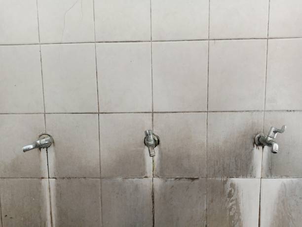 Trusted MI Water damage restoration Experts
